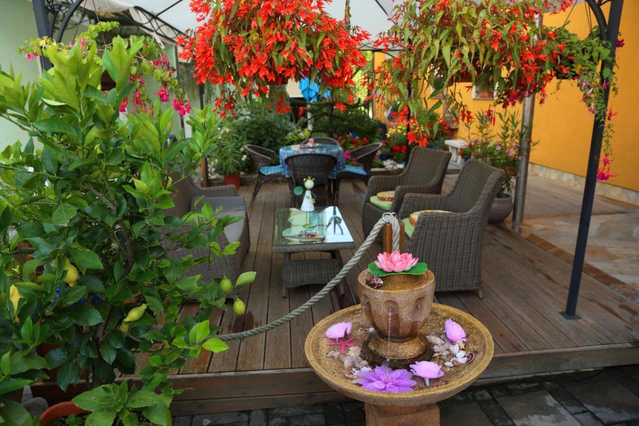 Hostel Sonce Ptuj Ngoại thất bức ảnh