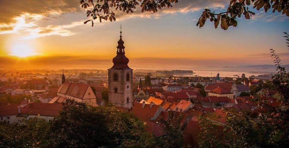 Hostel Sonce Ptuj Ngoại thất bức ảnh