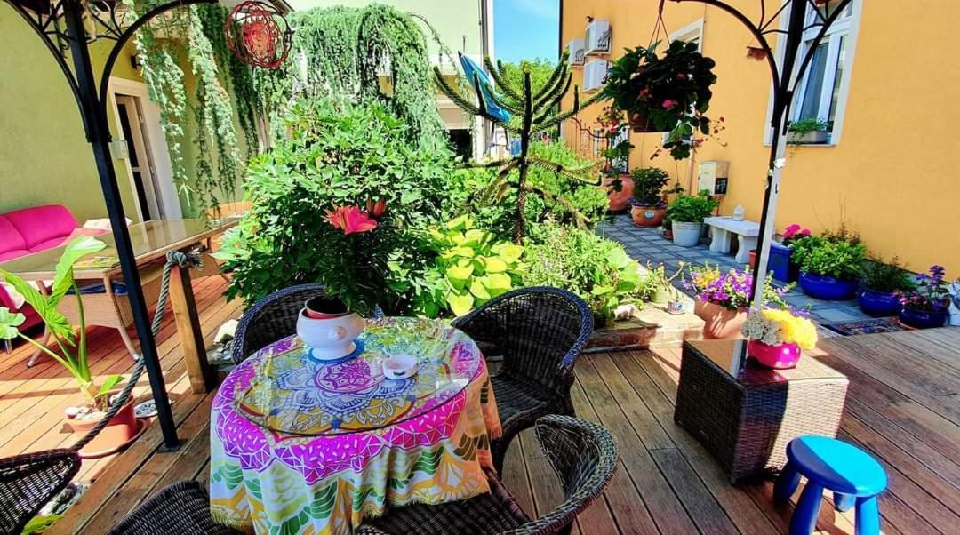 Hostel Sonce Ptuj Ngoại thất bức ảnh