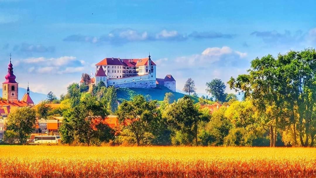 Hostel Sonce Ptuj Ngoại thất bức ảnh
