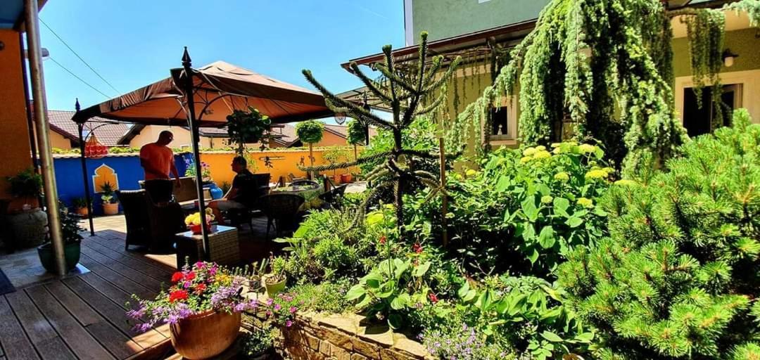 Hostel Sonce Ptuj Ngoại thất bức ảnh