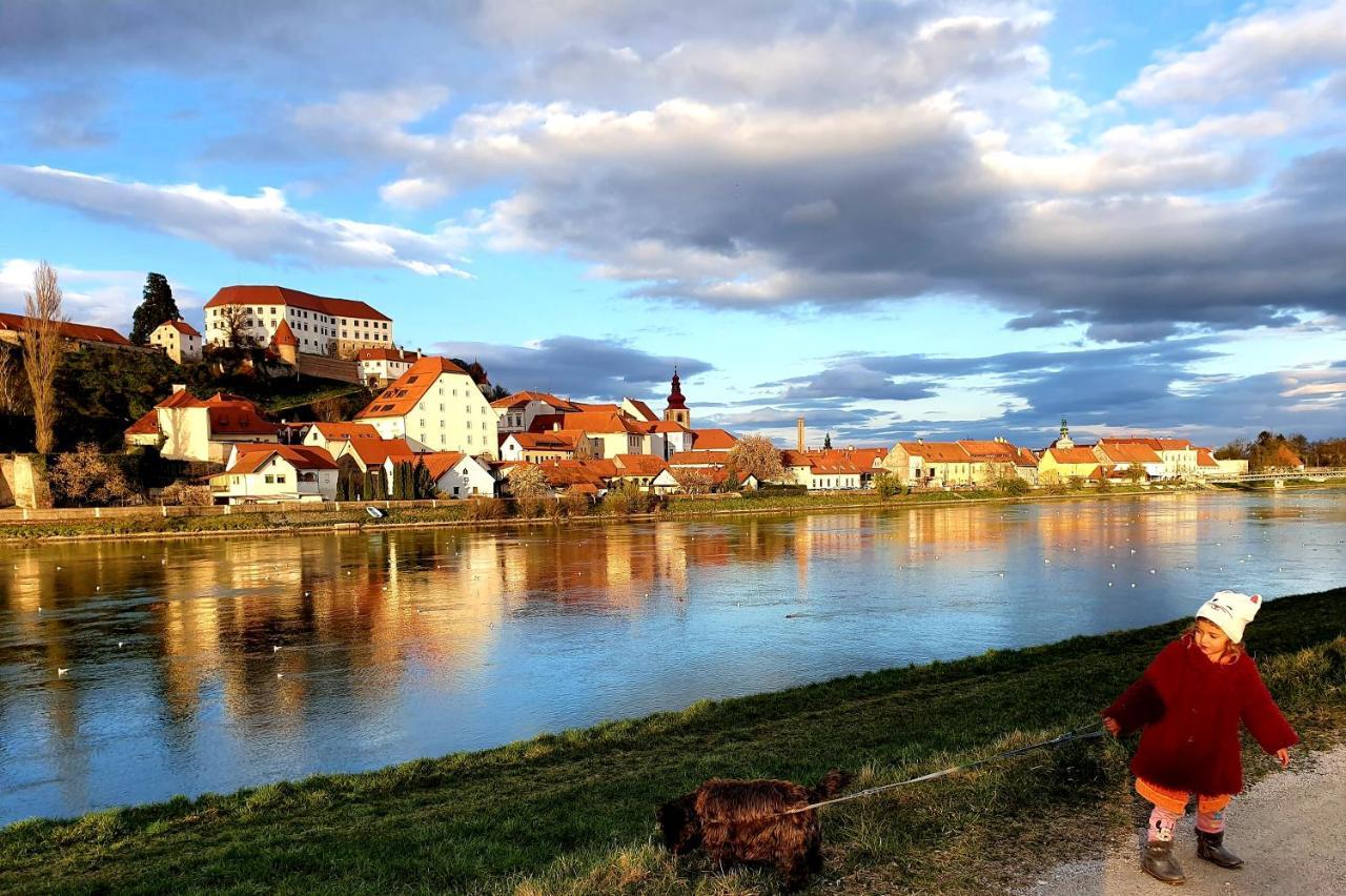 Hostel Sonce Ptuj Ngoại thất bức ảnh