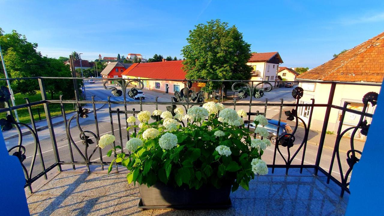 Hostel Sonce Ptuj Ngoại thất bức ảnh