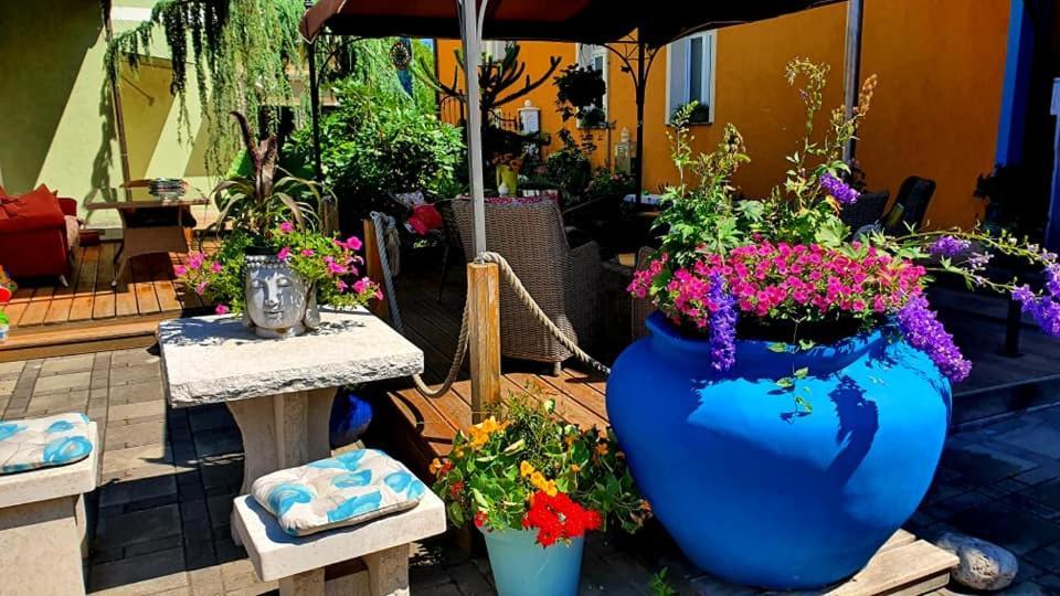 Hostel Sonce Ptuj Ngoại thất bức ảnh