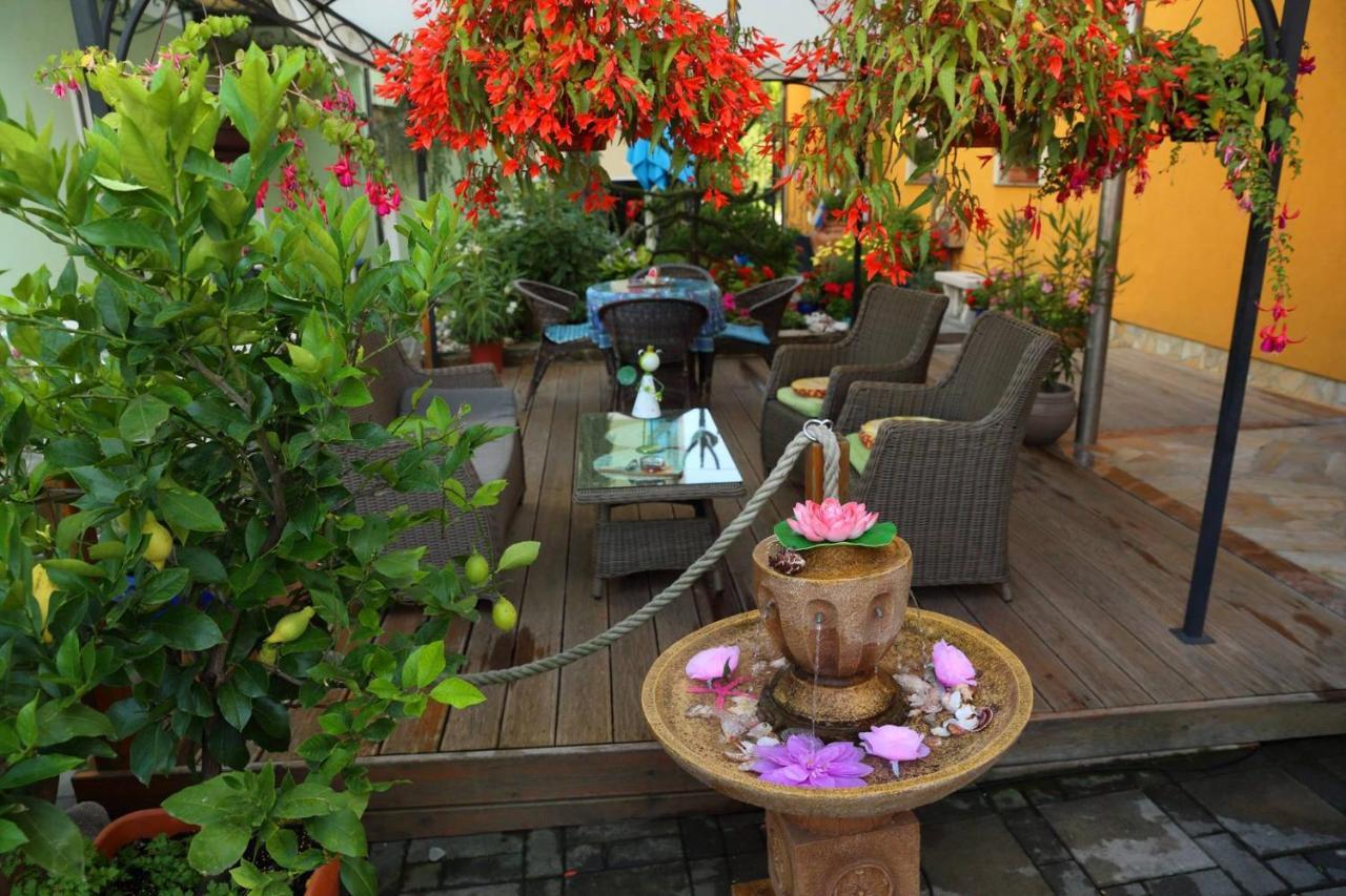 Hostel Sonce Ptuj Ngoại thất bức ảnh