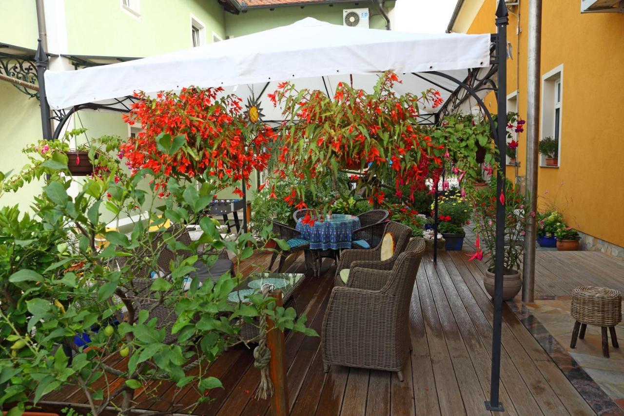 Hostel Sonce Ptuj Ngoại thất bức ảnh